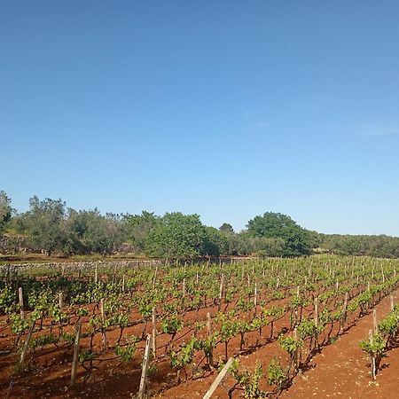 Masseria Le Betulle San Vito dei Normanni Ngoại thất bức ảnh